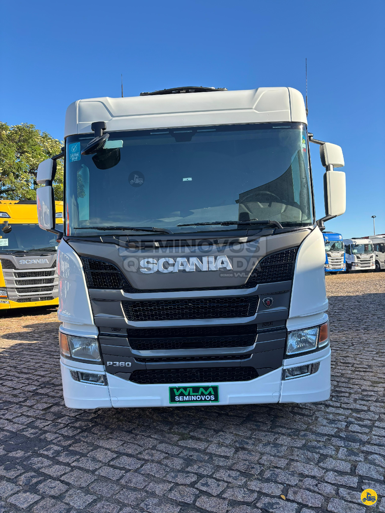 SCANIA P360 de Seminovos Quinta Roda WLM
